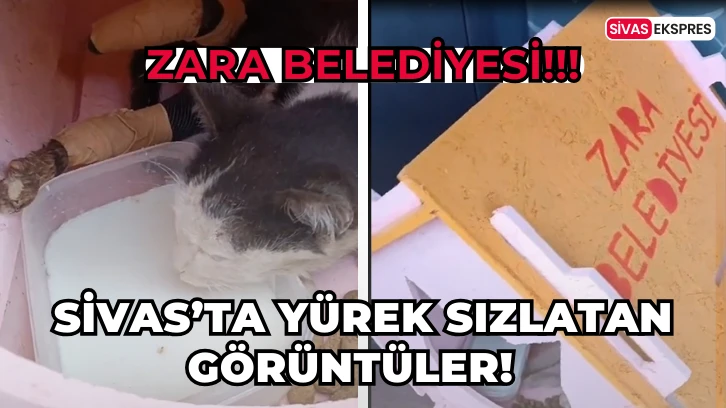 Sivas’ta Yürek Sızlatan Görüntüler!  