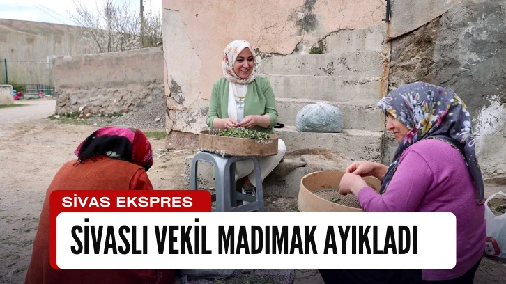 Sivaslı Vekil Madımak Ayıkladı