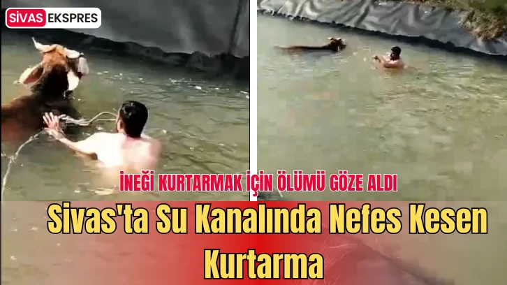 Sivas'ta Su Kanalında Nefes Kesen Kurtarma