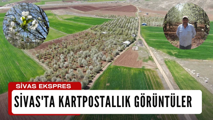 Sivas'ta Kartpostallık Görüntüler