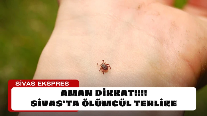 Sivas'ta Ölümcül Tehlike
