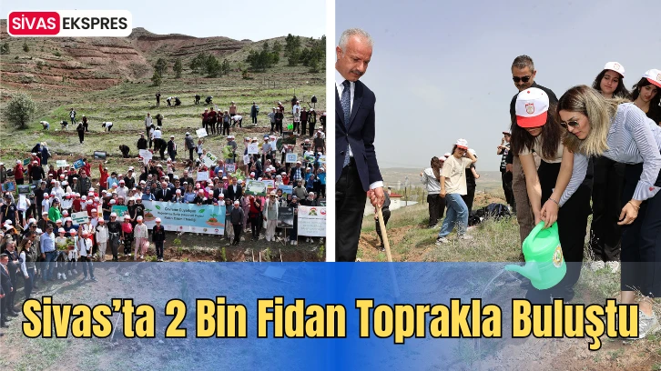 Sivas’ta 2 Bin Fidan Toprakla Buluştu
