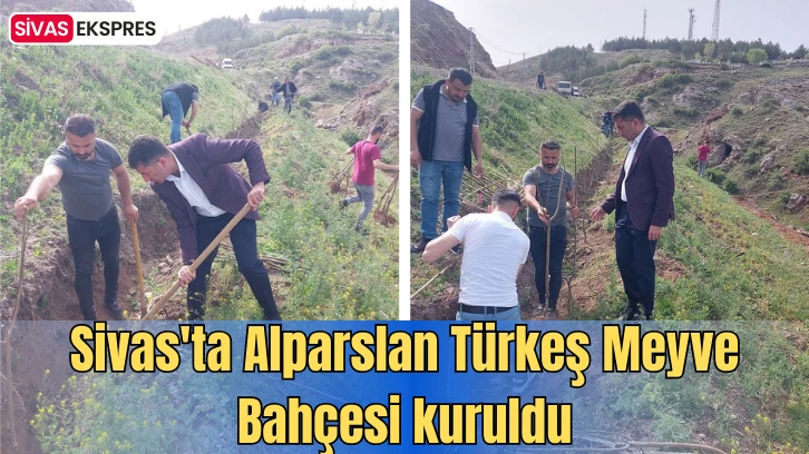 Sivas'ta Alparslan Türkeş Meyve Bahçesi Kuruldu