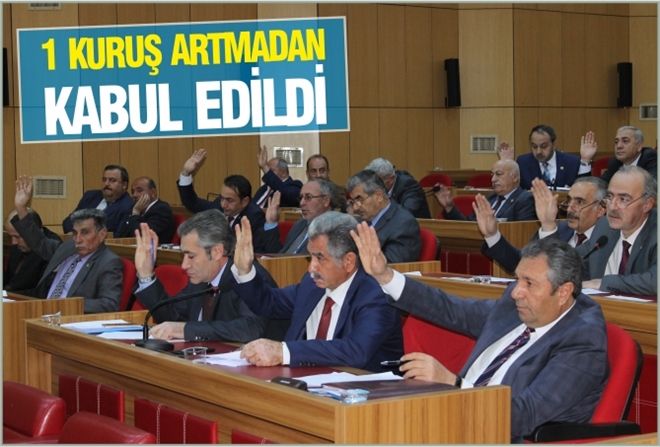 1 KURUŞ ARTMADAN KABUL EDİLDİ