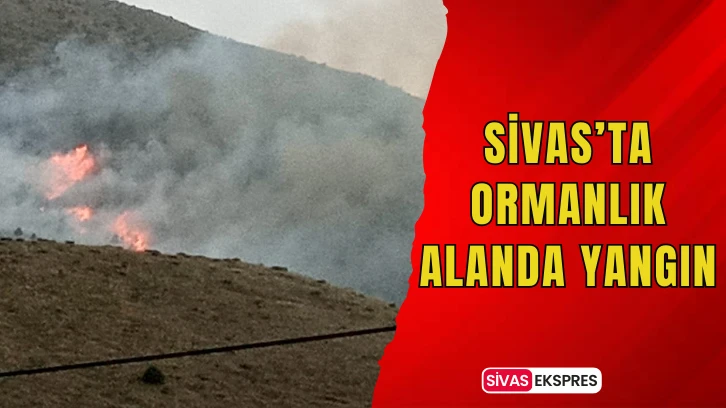 Sivas’ta Ormanlık Alanda Yangın