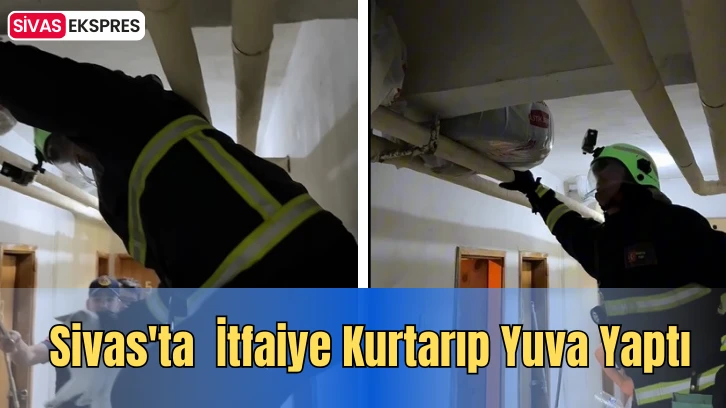 Sivas'ta  İtfaiye Kurtarıp Yuva Yaptı
