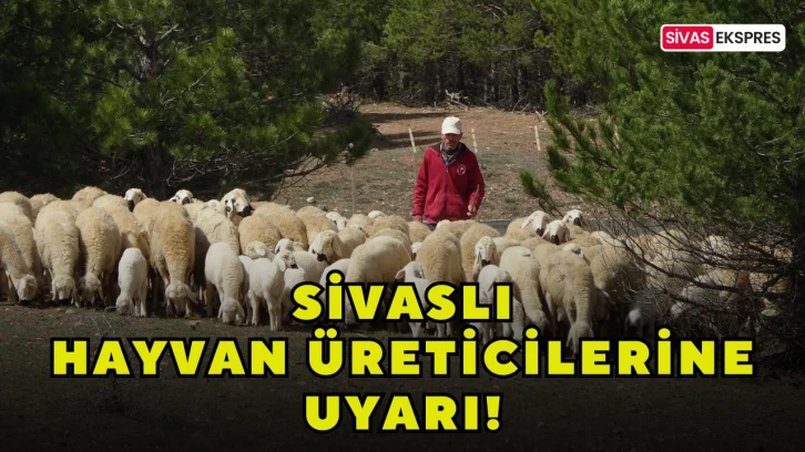 Sivaslı Hayvan Üreticilerine Uyarı!