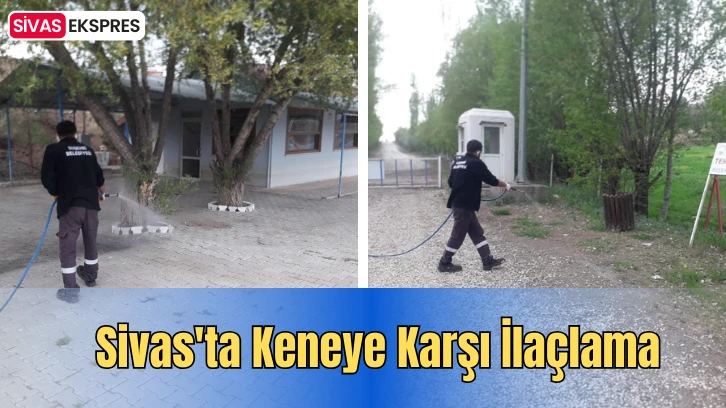 Sivas'ta Keneye Karşı İlaçlama