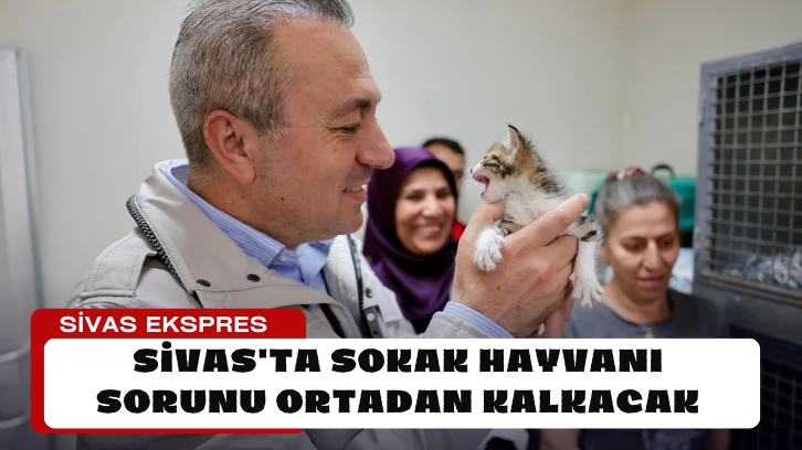 Sivas'ta Sokak Hayvanı Sorunu Ortadan Kalkacak