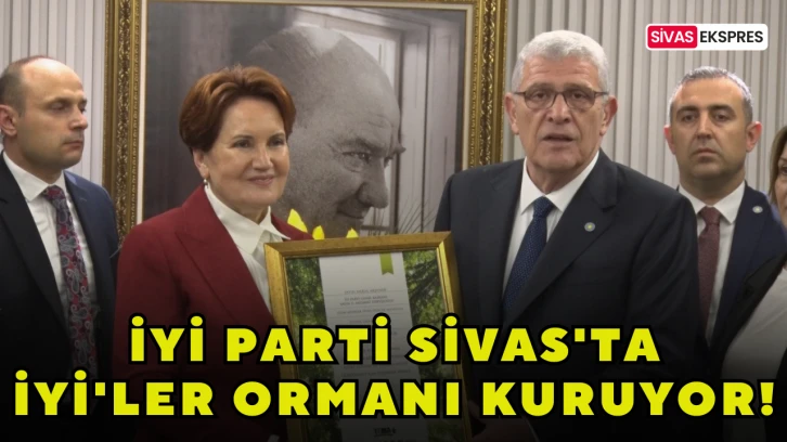 İYİ Parti Sivas'ta İYİ'ler Ormanı Kuruyor!