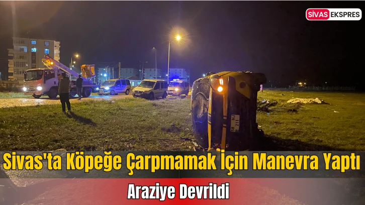 Sivas'ta Köpeğe Çarpmamak İçin Manevra Yaptı, Araziye Devrildi