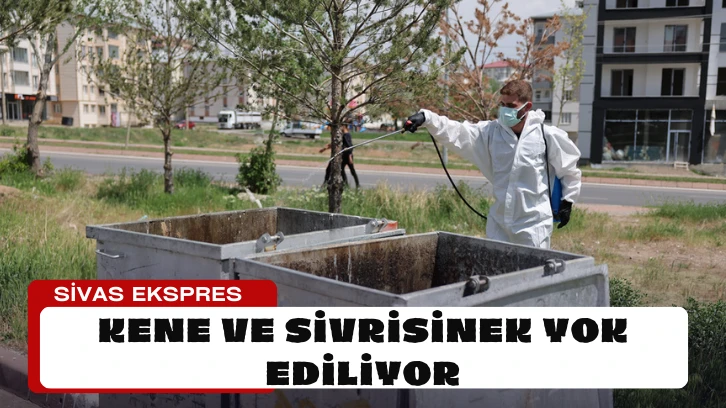 Sivas'ta Kene ve Sivrisinek Yok Ediliyor