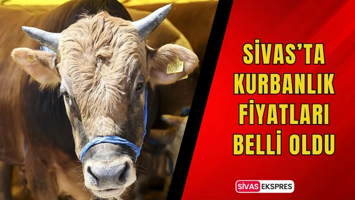 Sivas’ta Kurbanlık Fiyatları Belli Oldu