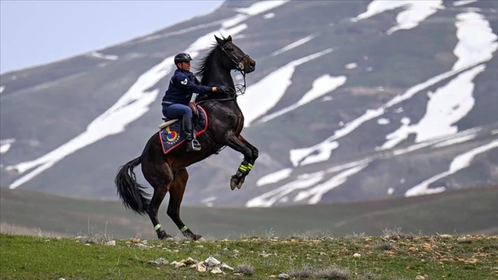 Atlı Jandarma Timi Sınır Hattında