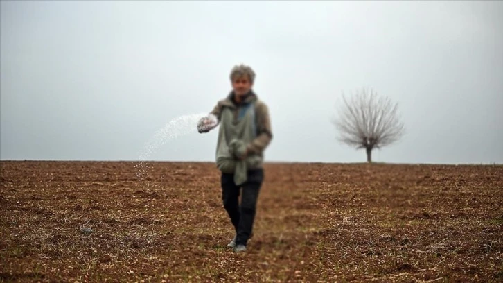 Türkiye'nin Tohumda İsrail'e Bağımlılığı Yok