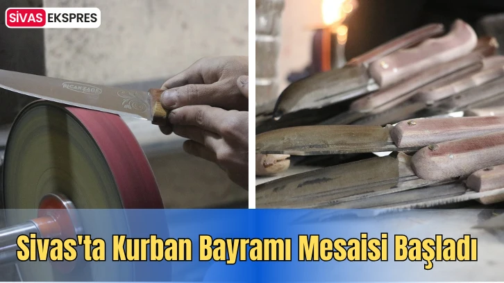 Sivas'ta Kurban Bayramı Mesaisi Başladı   