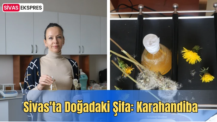 Sivas'ta Doğadaki Şifa: Karahandiba