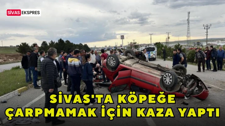 Sivas'ta Köpeğe Çarpmamak İçin Kaza Yaptı