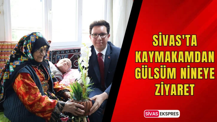 Sivas'ta Kaymakamdan Gülsüm Nineye Ziyaret