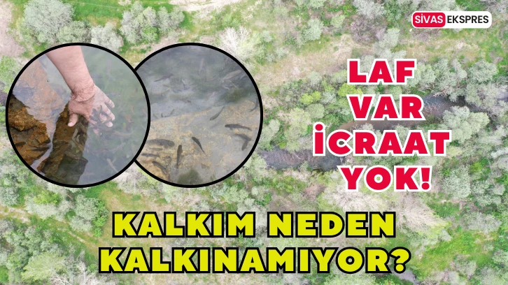 Kalkım Neden Kalkınamıyor?