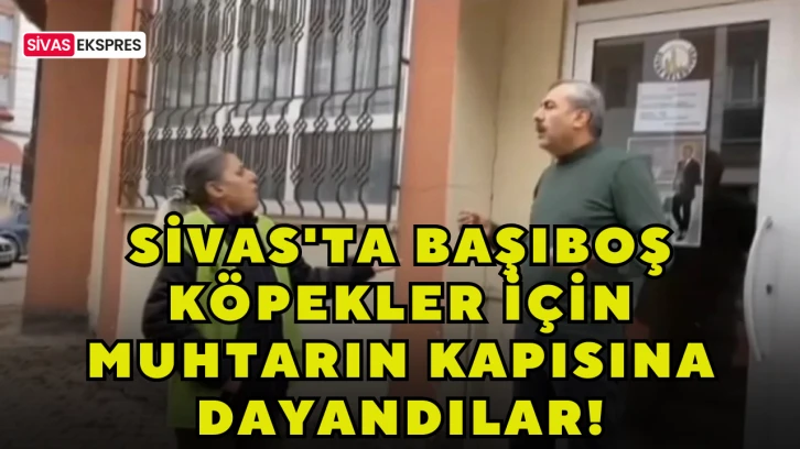 Sivas'ta Muhtarın Kapısına Dayandılar!