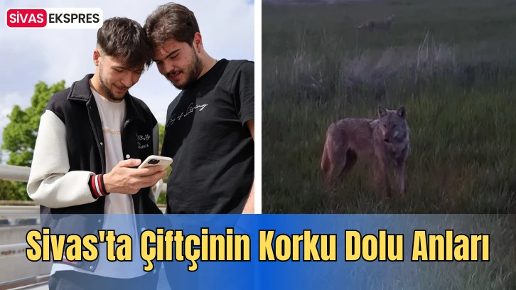 Sivas'ta Çiftçinin Korku Dolu Anları