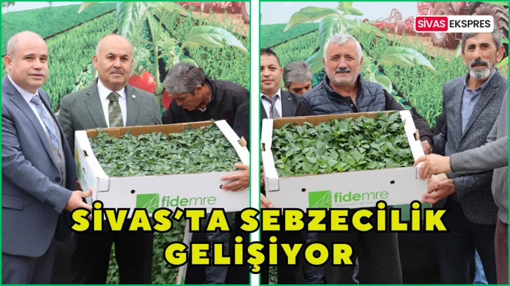 Sivas’ta Sebzecilik Gelişiyor