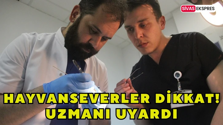 Hayvanseverler Dikkat, Uzmanı Uyardı!