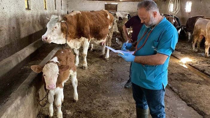 Türkiye'de İlk Kez Uygulandı! Ölümler Geriledi