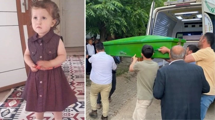 "Beni Bir Şey Isırdı" Diyen 5 Yaşındaki Çocuk Öldü