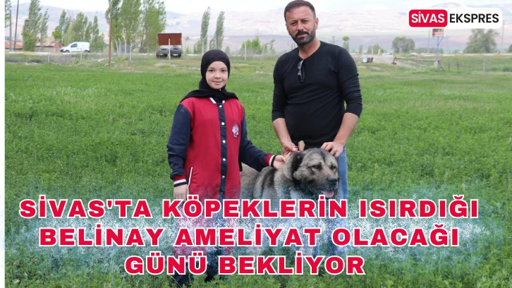 Sivas'ta Köpeklerin Isırdığı Belinay Ameliyat Olacağı Günü Bekliyor