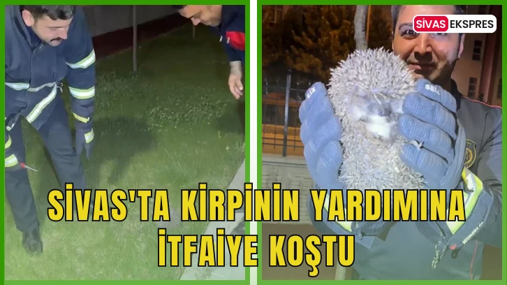 Sivas'ta Kirpinin Yardımına İtfaiye Koştu