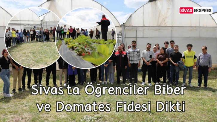 Sivas'ta Öğrenciler Biber ve Domates Fidesi Dikti