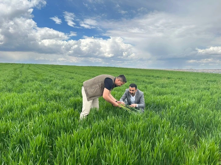 Çiftçilere Hastalık Uyarısı