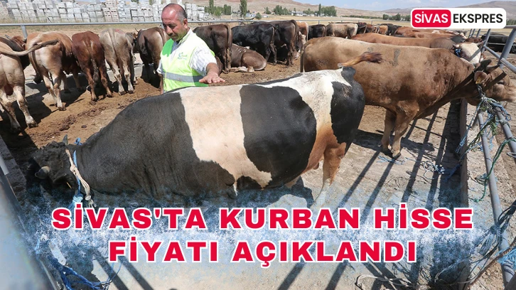 Sivas'ta Kurban Hisse Fiyatı Açıklandı