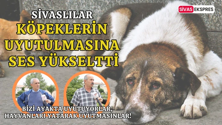 Hayvanların Uyutulmasına Sivaslılar Ses Yükseltti!