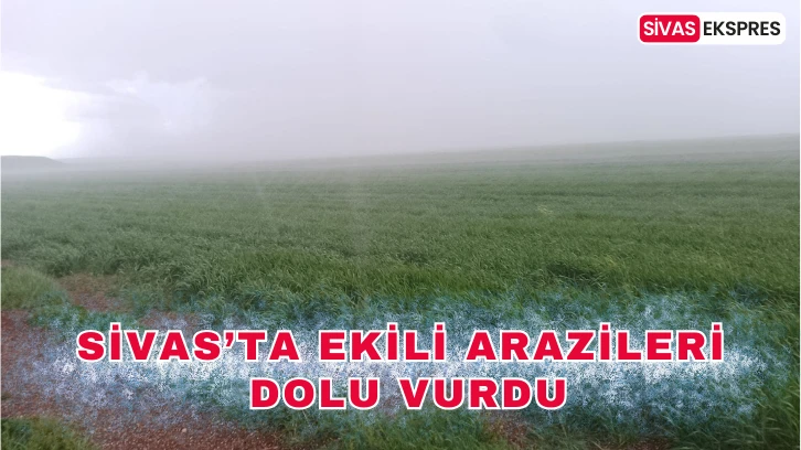 Sivas’ta Ekili Arazileri Dolu Vurdu
