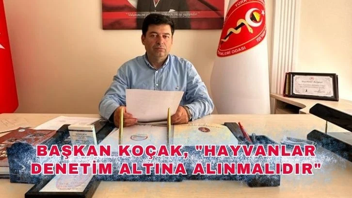 Başkan Koçak,"Hayvanlar Denetim Altına Alınmalıdır"