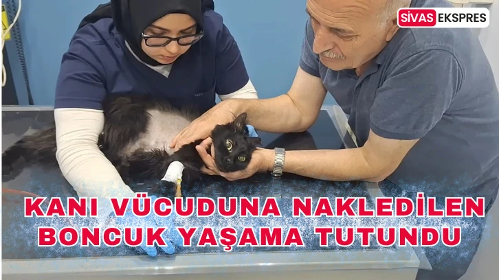 Sivas'ta Kanı Vücuduna Nakledilen Boncuk Yaşama Tutundu