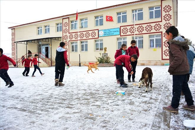 SOKAK HAYVANLARINA SAHİP ÇIKTI