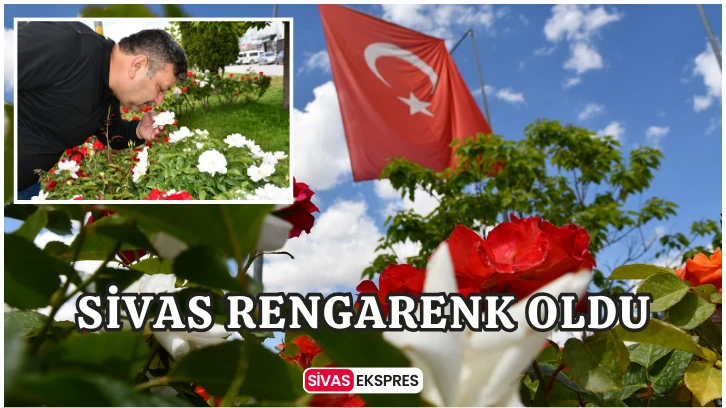 Sivas Rengarenk Oldu