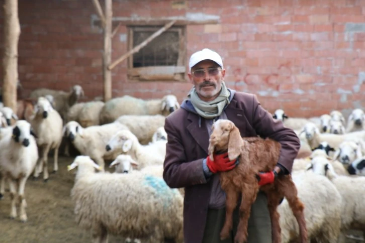 Meşhur muhtar dolandırıldı