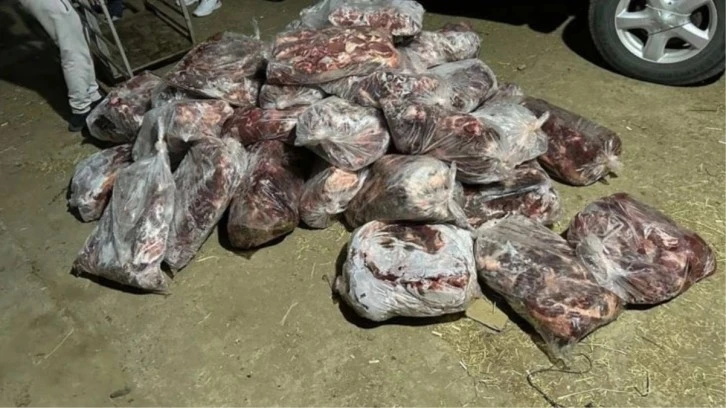 1 ton domuz eti ele geçirildi! 