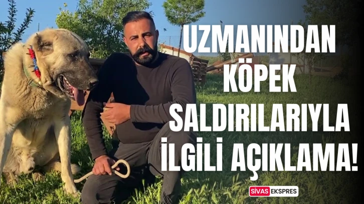 Uzmanından Köpek Saldırılarıyla Açıklama!