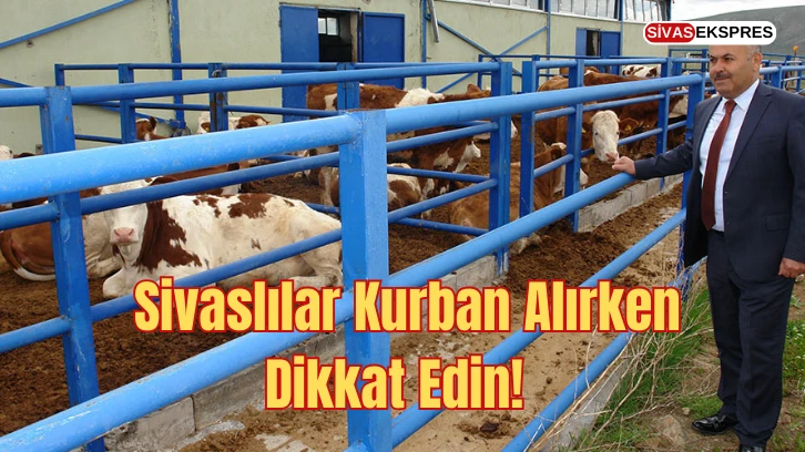    Sivaslılar Kurban Alırken Dikkat Edin!