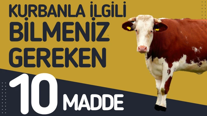 10 Soruda Kurbanla İlgili Merak Edilenler!