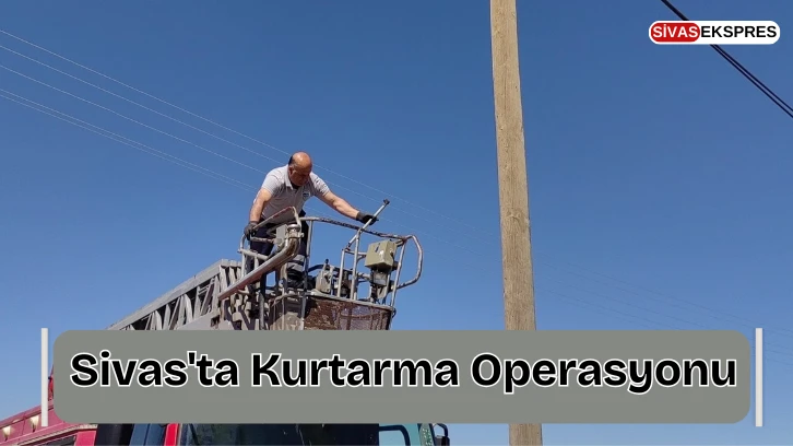 Sivas'ta Kurtarma Operasyonu