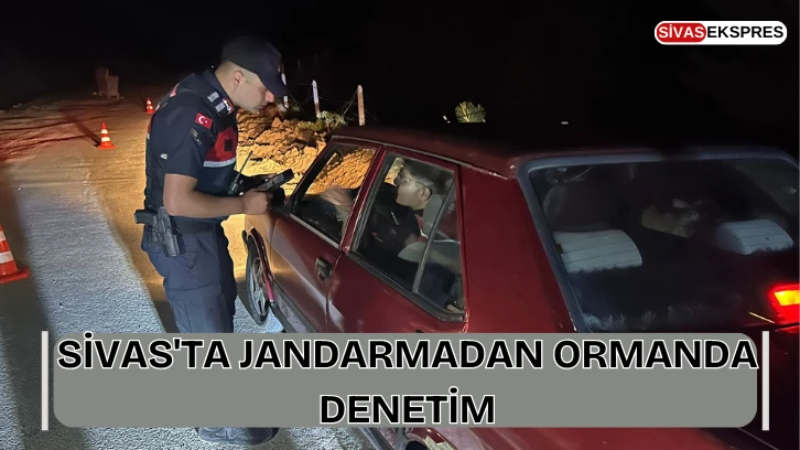 Sivas'ta Jandarmadan Ormanda Denetim