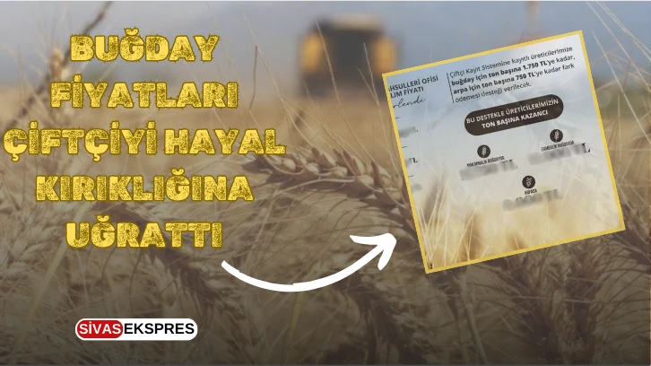 Buğday Fiyatları Çiftçiyi Hayal Kırıklığına Uğrattı