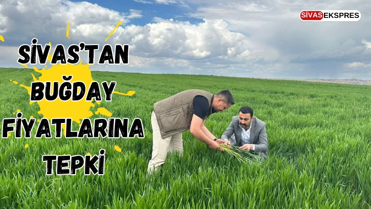 Sivas’tan Buğday Fiyatlarına Tepki